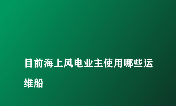 
目前海上风电业主使用哪些运维船

