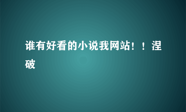 谁有好看的小说我网站！！涅破