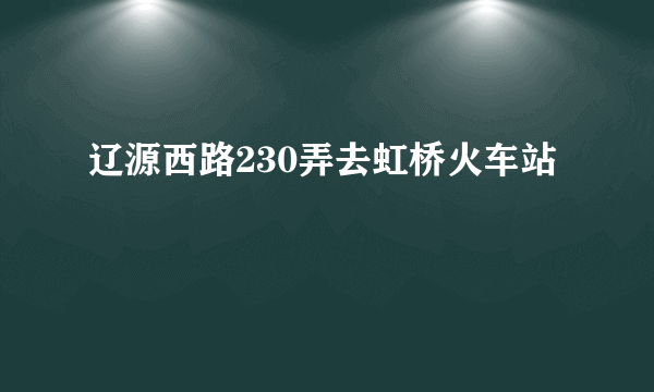 辽源西路230弄去虹桥火车站