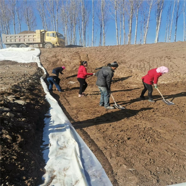 防水土工布多少钱一平米