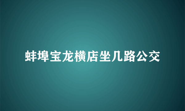 蚌埠宝龙横店坐几路公交