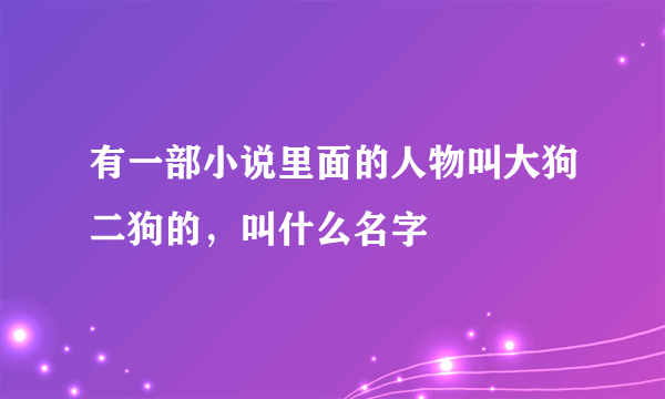 有一部小说里面的人物叫大狗二狗的，叫什么名字