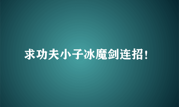 求功夫小子冰魔剑连招！