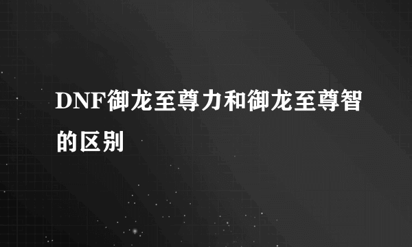 DNF御龙至尊力和御龙至尊智的区别