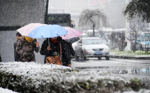 黑龙江全省发布暴雪红色预警，暴雪的等级是如何划分的？