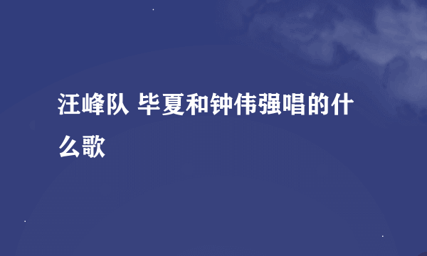 汪峰队 毕夏和钟伟强唱的什么歌