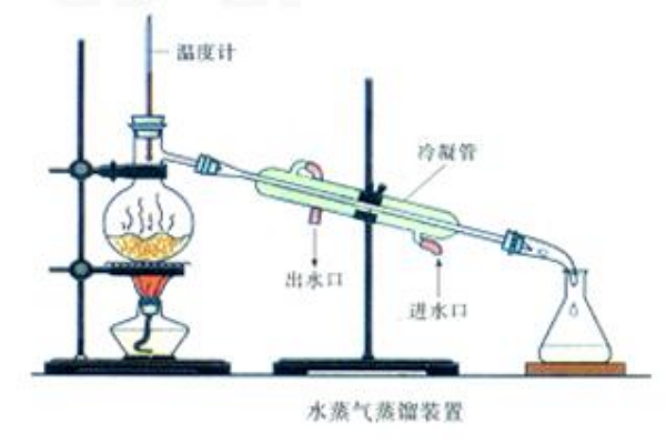 如何提炼迷迭香精油