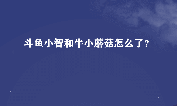 斗鱼小智和牛小蘑菇怎么了？