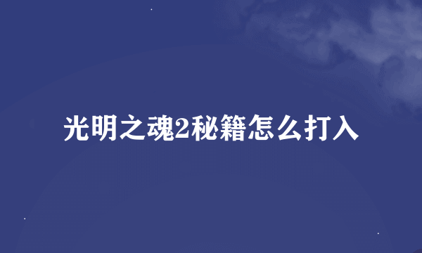 光明之魂2秘籍怎么打入