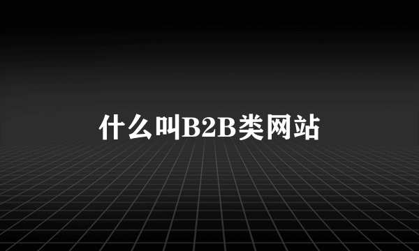 什么叫B2B类网站