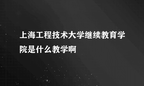 上海工程技术大学继续教育学院是什么教学啊