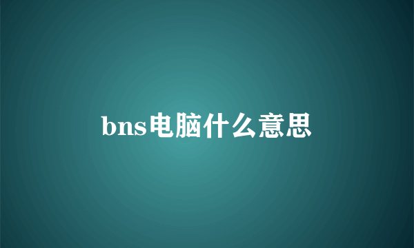 bns电脑什么意思