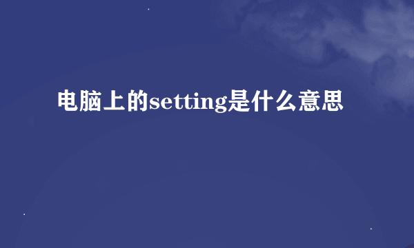 电脑上的setting是什么意思