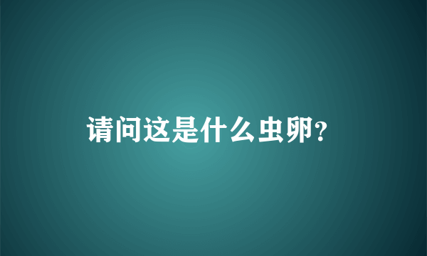 请问这是什么虫卵？