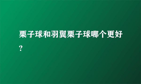 栗子球和羽翼栗子球哪个更好?