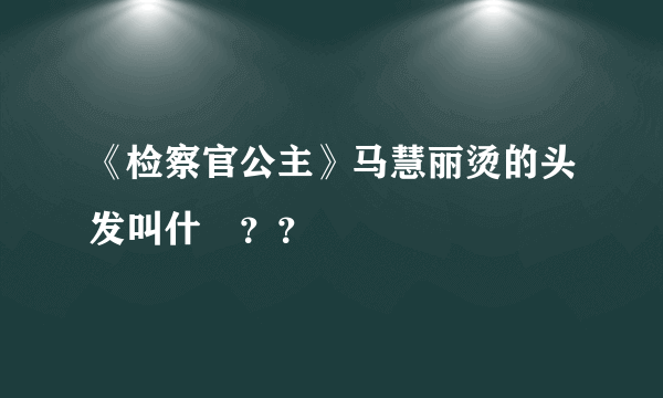 《检察官公主》马慧丽烫的头发叫什麼？？