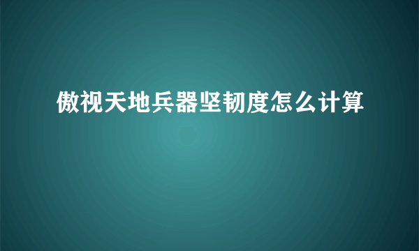 傲视天地兵器坚韧度怎么计算