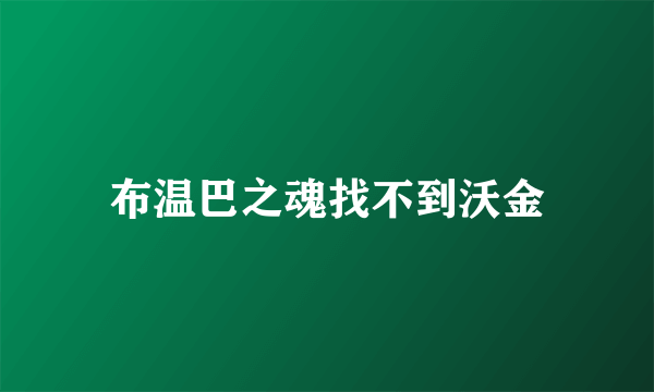 布温巴之魂找不到沃金