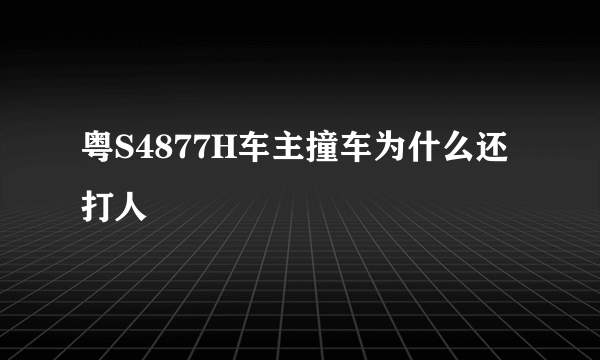 粤S4877H车主撞车为什么还打人