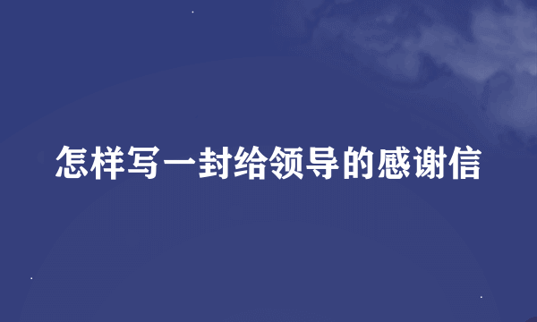 怎样写一封给领导的感谢信