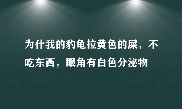 为什我的豹龟拉黄色的屎，不吃东西，眼角有白色分泌物