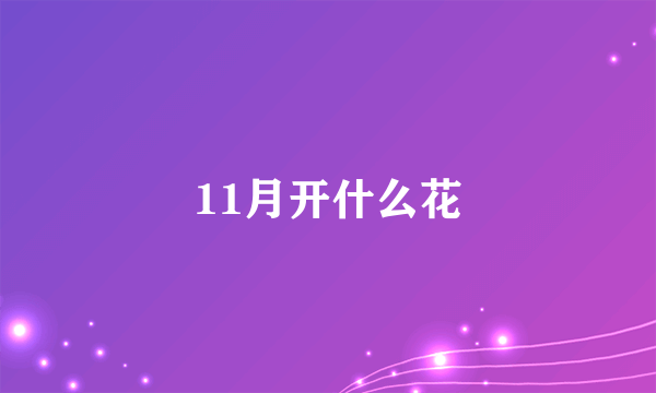 11月开什么花