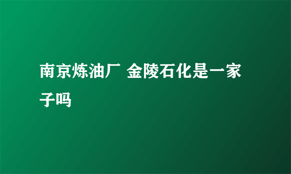 南京炼油厂 金陵石化是一家子吗