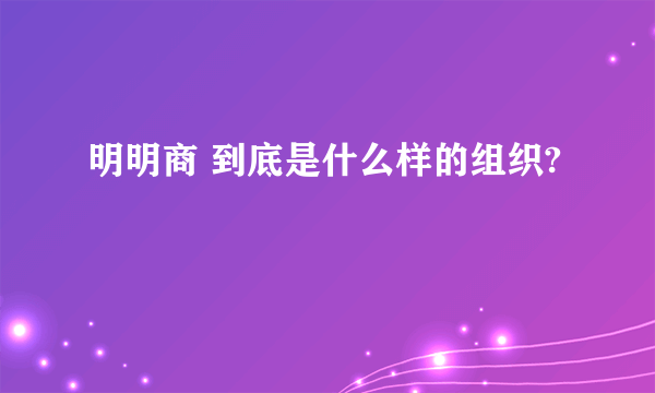 明明商 到底是什么样的组织?