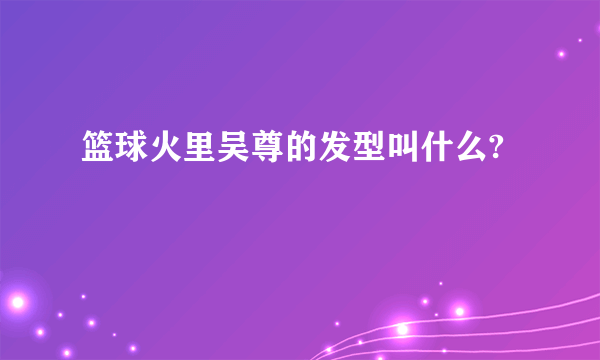 篮球火里吴尊的发型叫什么?