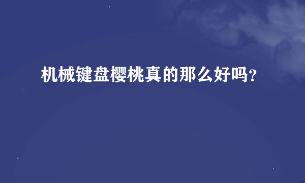 机械键盘樱桃真的那么好吗？