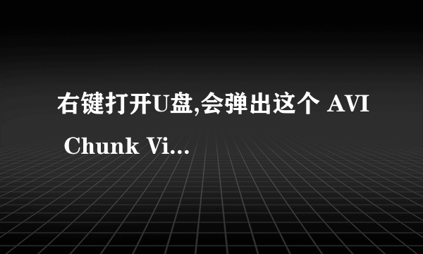 右键打开U盘,会弹出这个 AVI Chunk Viewer 对话框?