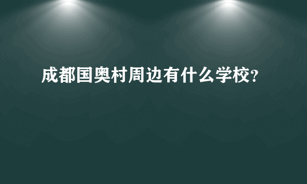 成都国奥村周边有什么学校？