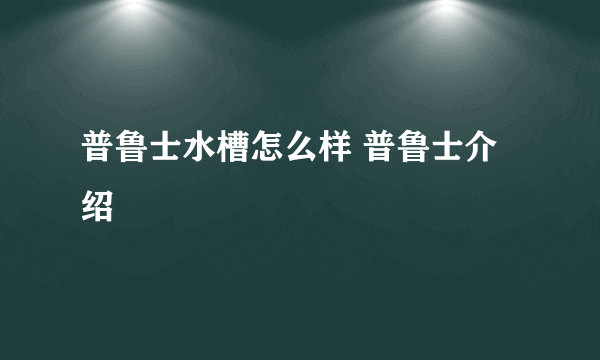 普鲁士水槽怎么样 普鲁士介绍