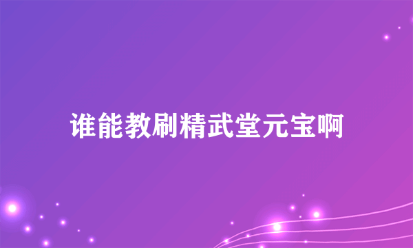 谁能教刷精武堂元宝啊