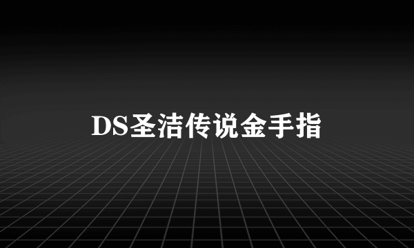 DS圣洁传说金手指