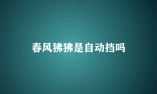 春风狒狒是自动挡吗