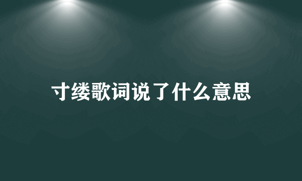 寸缕歌词说了什么意思