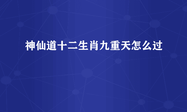 神仙道十二生肖九重天怎么过