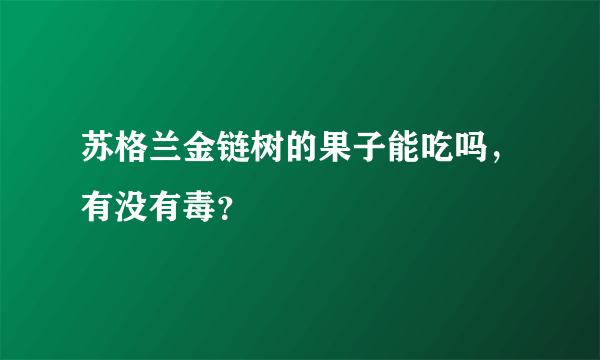 苏格兰金链树的果子能吃吗，有没有毒？