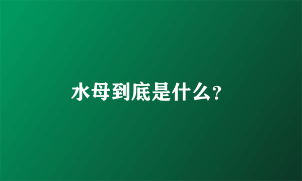 水母到底是什么？