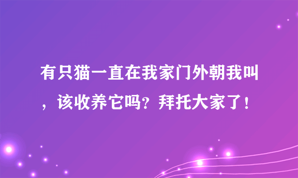 有只猫一直在我家门外朝我叫，该收养它吗？拜托大家了！