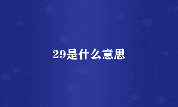 29是什么意思