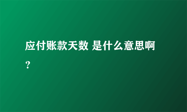 应付账款天数 是什么意思啊？