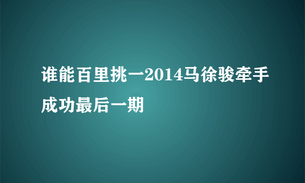 谁能百里挑一2014马徐骏牵手成功最后一期