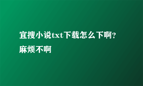 宜搜小说txt下载怎么下啊？麻烦不啊