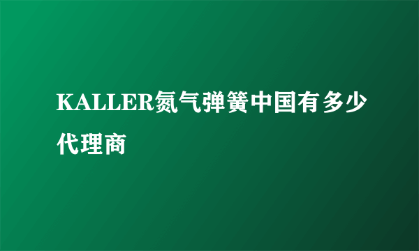 KALLER氮气弹簧中国有多少代理商