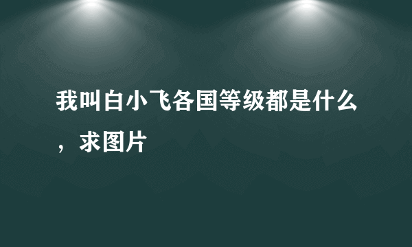 我叫白小飞各国等级都是什么，求图片