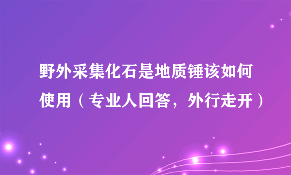 野外采集化石是地质锤该如何使用（专业人回答，外行走开）