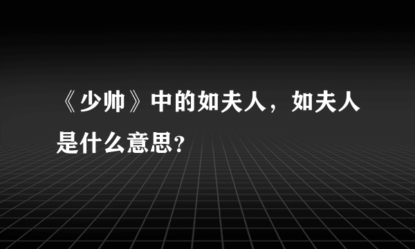 《少帅》中的如夫人，如夫人是什么意思？