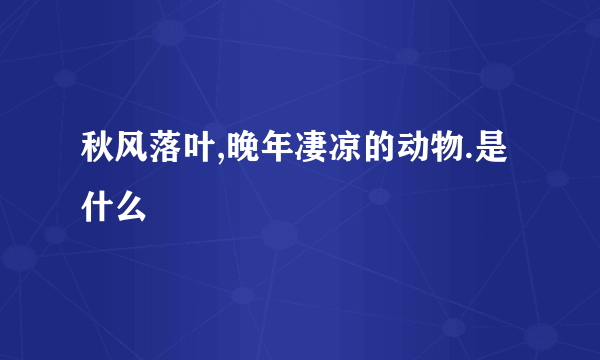 秋风落叶,晚年凄凉的动物.是什么